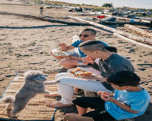 深圳做供卵三代多少钱,2026深圳有哪些医院做三代试管2家试管医院费用及成功率公布?哪个更值得!